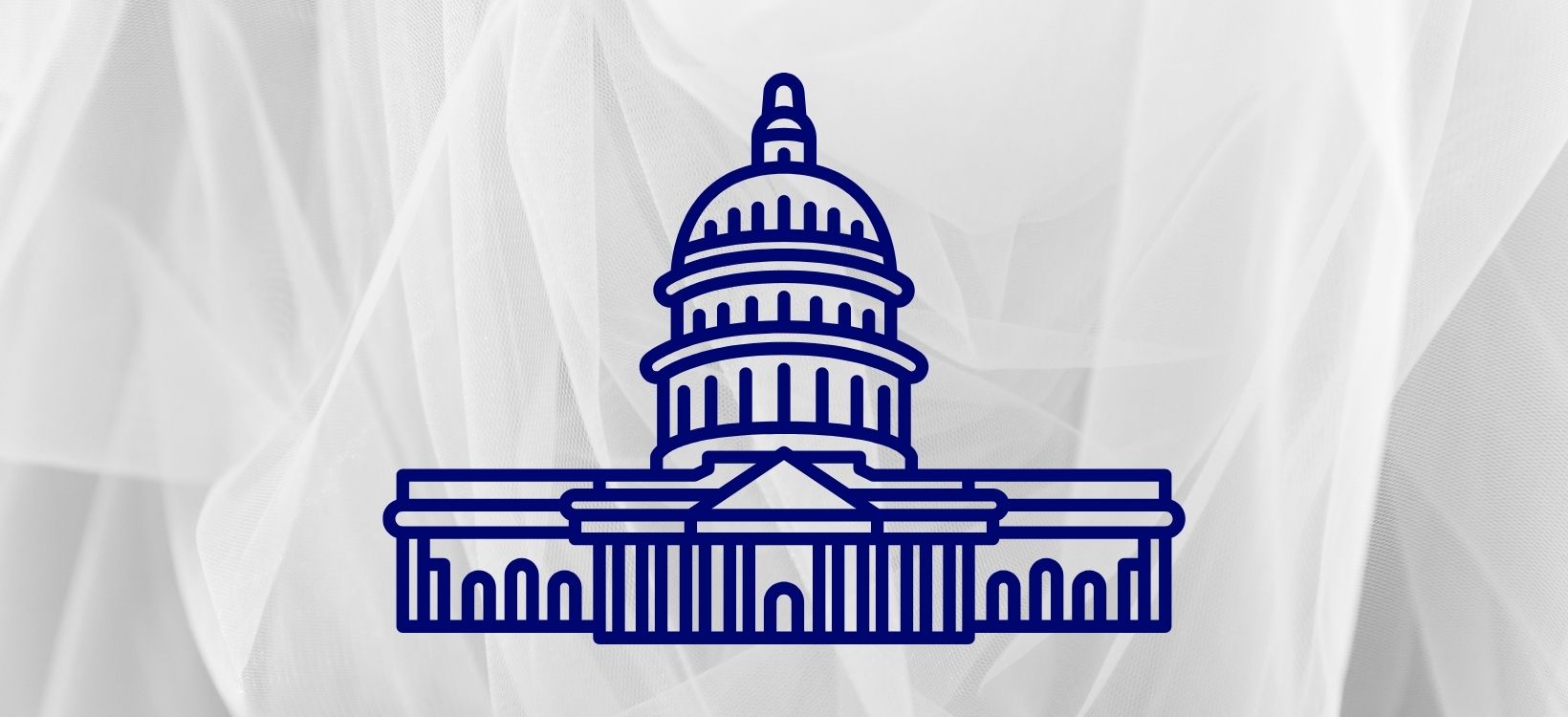 Government & Authority Scams