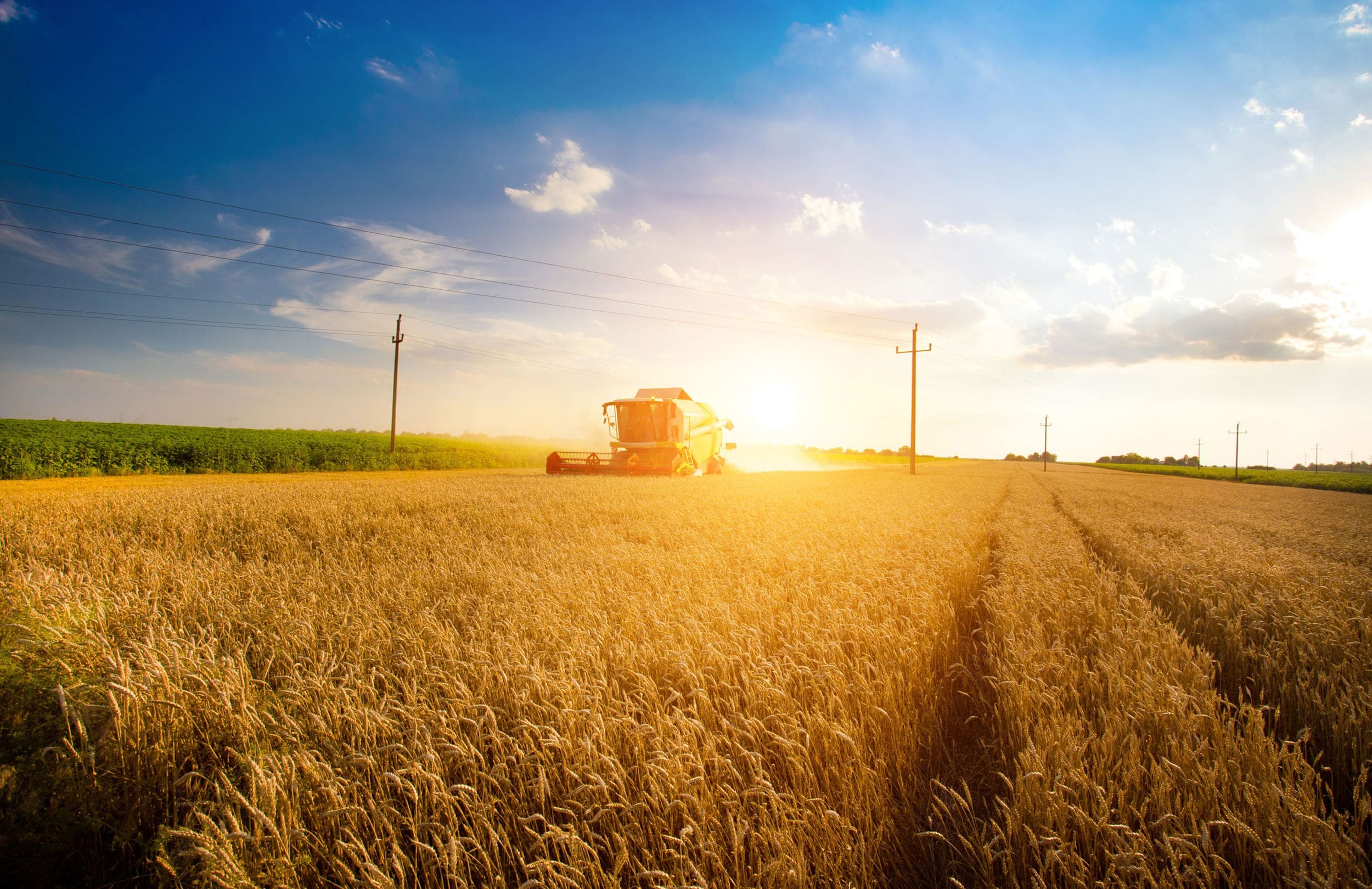 Combine doing farm work in a field