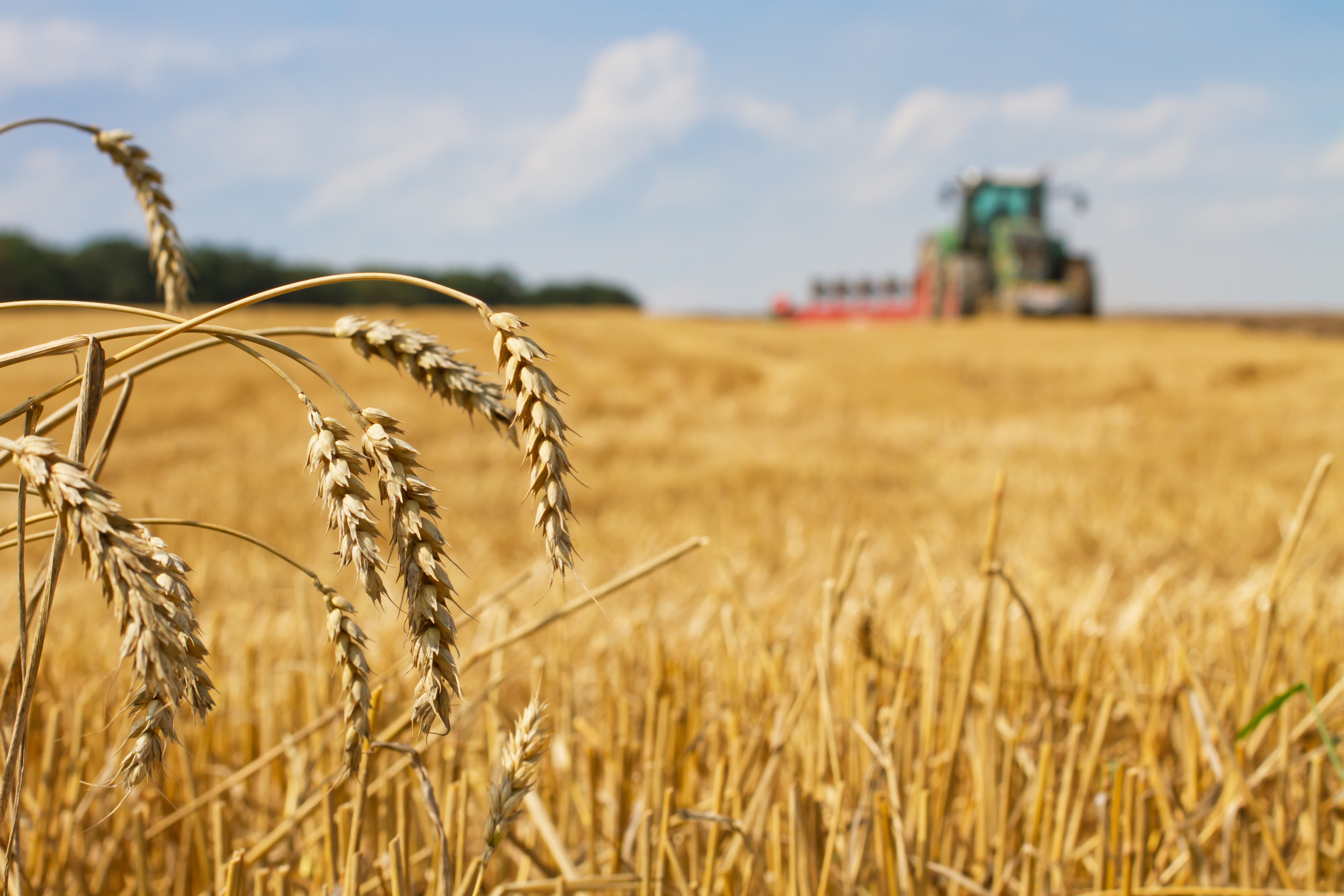 combine in a field